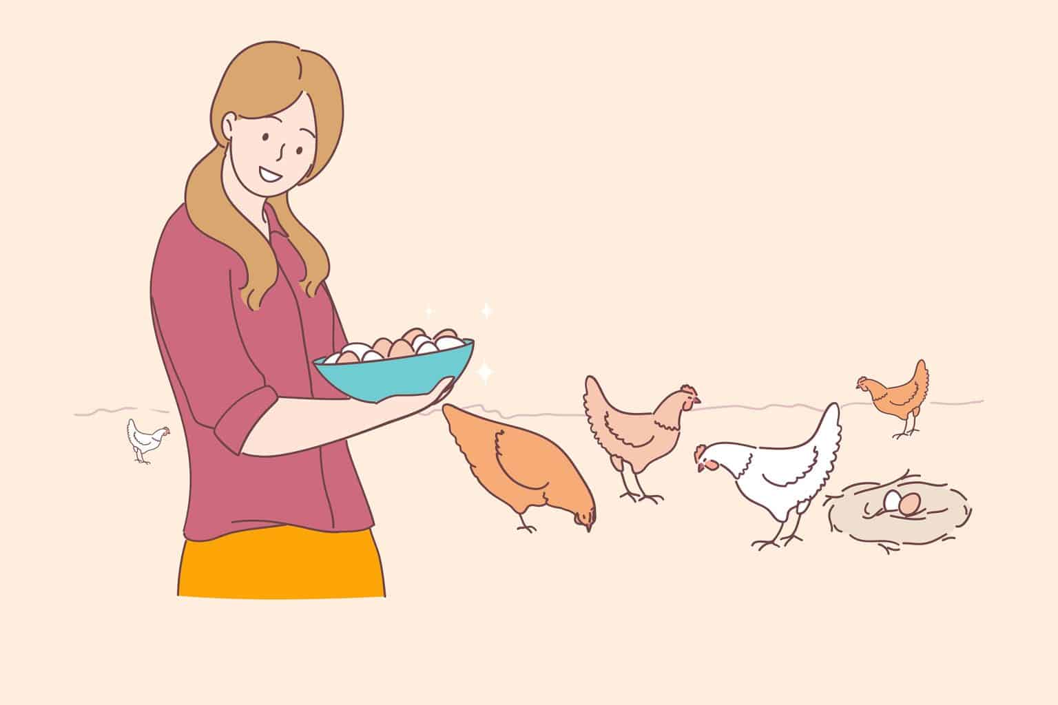 Comment j'ai réussi à élever des poules dans mon jardin : Mes astuces